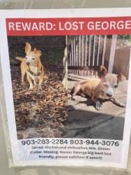 Lost Male Dog last seen Marbach and Bear springs dr, San Antonio, TX 78245
