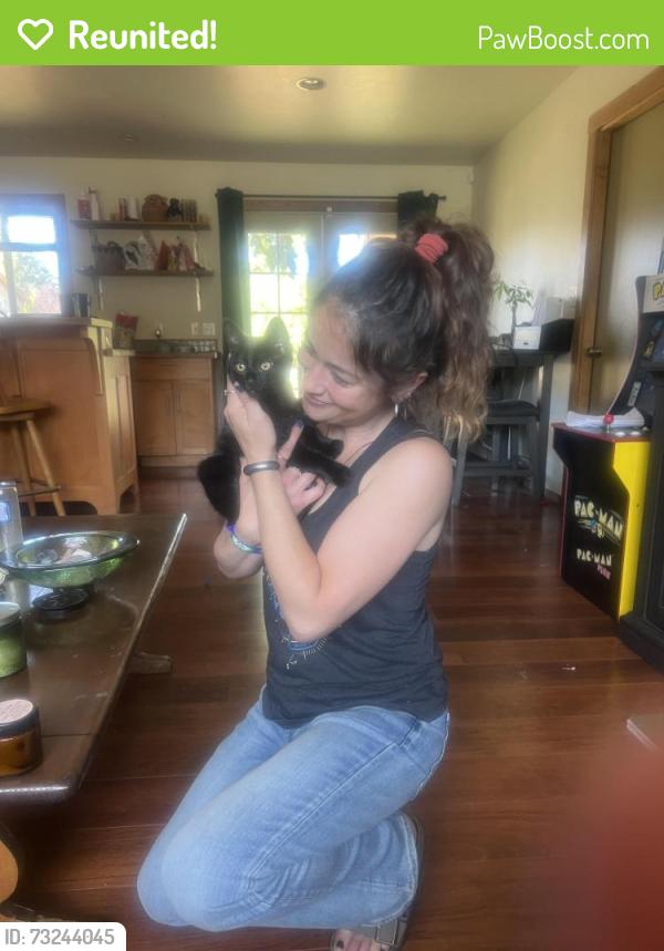 Reunited Female Cat last seen Near Dogwood Rd McKinleyville, McKinleyville, CA 95519