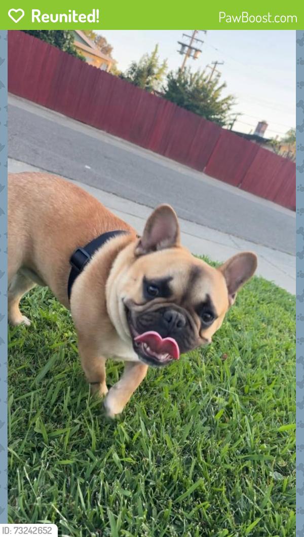 Reunited Male Dog last seen Hull way, Sacramento, CA 95823