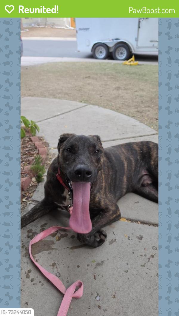 Reunited Male Dog last seen Corner of E. Brunswick Dr & S. Espana Ct., Aurora, CO 80013