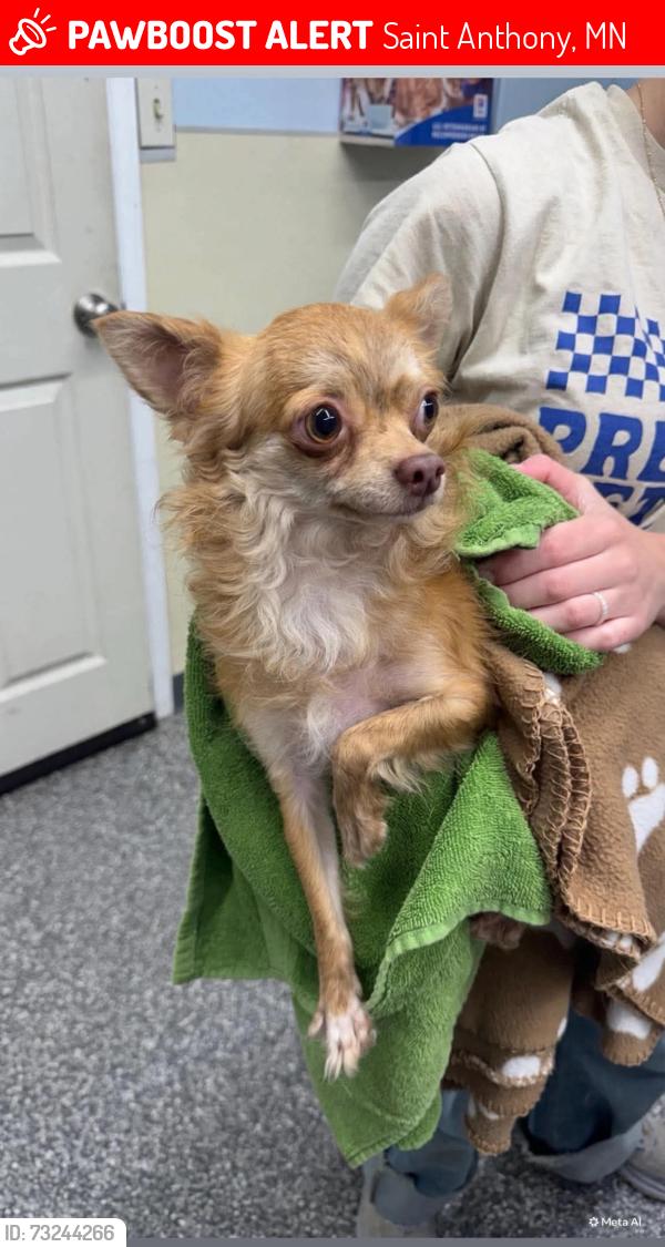 Lost Male Dog last seen St. anthony, Saint Anthony, MN 55418