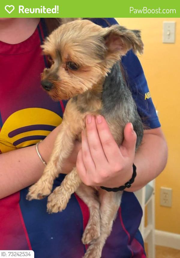 Reunited Female Dog last seen The Gate cndmniums, Tamarac, FL 33319