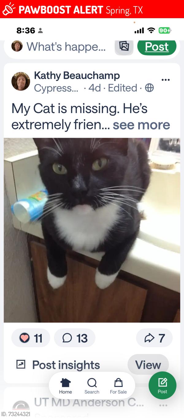 Lost Male Cat last seen Summer Pine Dr / Tree hse, Spring, TX 77373