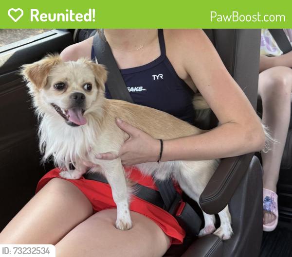 Reunited Male Dog last seen The Prado Shopping Center on Roswell Rd, Sandy Springs, GA 30342