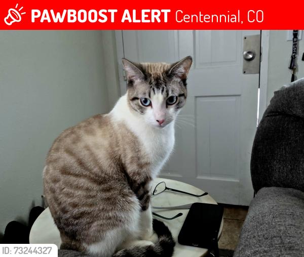 Lost Male Cat last seen E Ida Ave & S Nepal St., Centennial, CO 80015