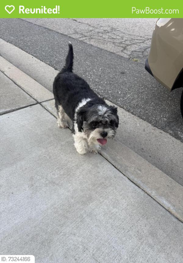 Reunited Female Dog last seen Lynwood and Valaria, Highland, CA 92346