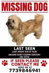 Lost Male Dog last seen Last seen going under cemetery gates but it was closed off of 111th adn kostner, Oak Lawn, IL 60453
