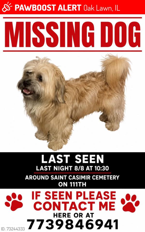 Lost Male Dog last seen Last seen going under cemetery gates but it was closed off of 111th adn kostner, Oak Lawn, IL 60453