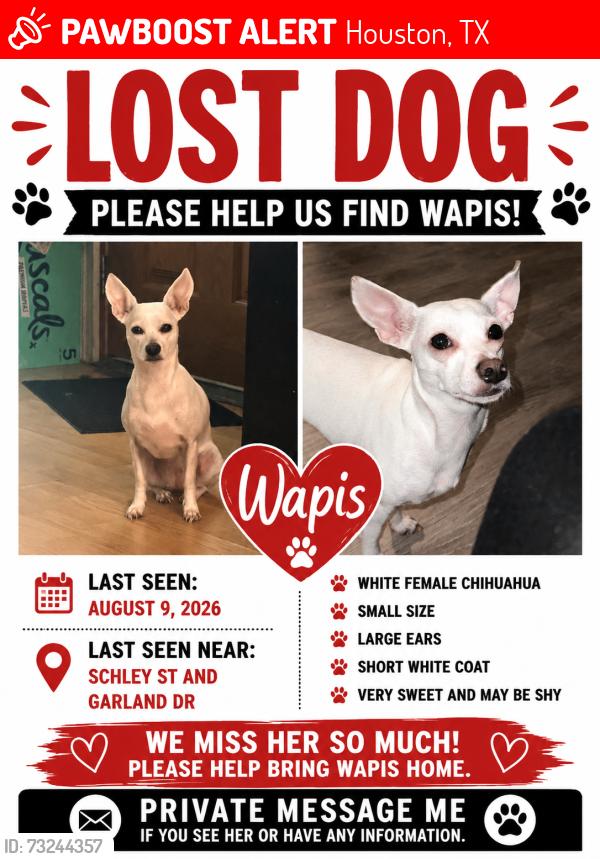 Lost Female Dog last seen Schley Garland dr, Houston, TX 77087