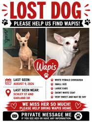 Lost Female Dog last seen Schley Garland dr, Houston, TX 77087