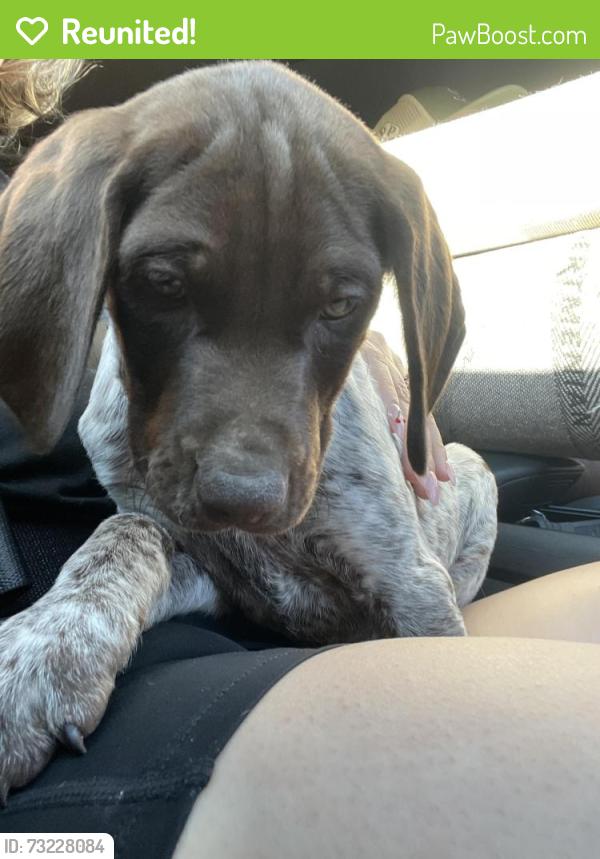 Reunited Female Dog last seen Hermosa, center, Norwick, Rancho Cucamonga, CA 91730