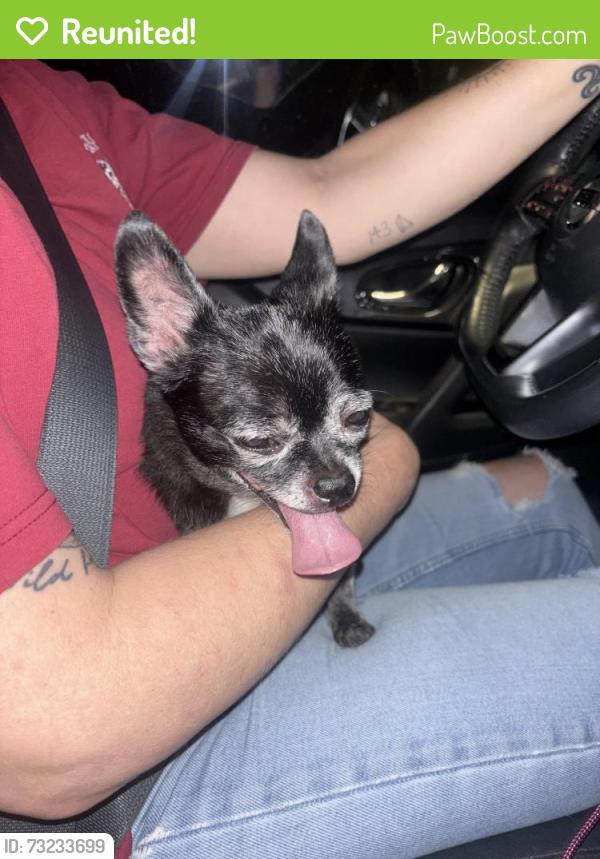 Reunited Male Dog last seen Kenneth Ave and Madison Ave, Fair Oaks, CA 95628