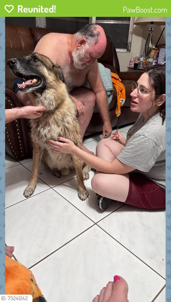 Reunited Male Dog last seen Haverhill, Haverhill, FL 33417