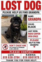 Lost Male Dog last seen Radio canyon, San Diego, CA 92114