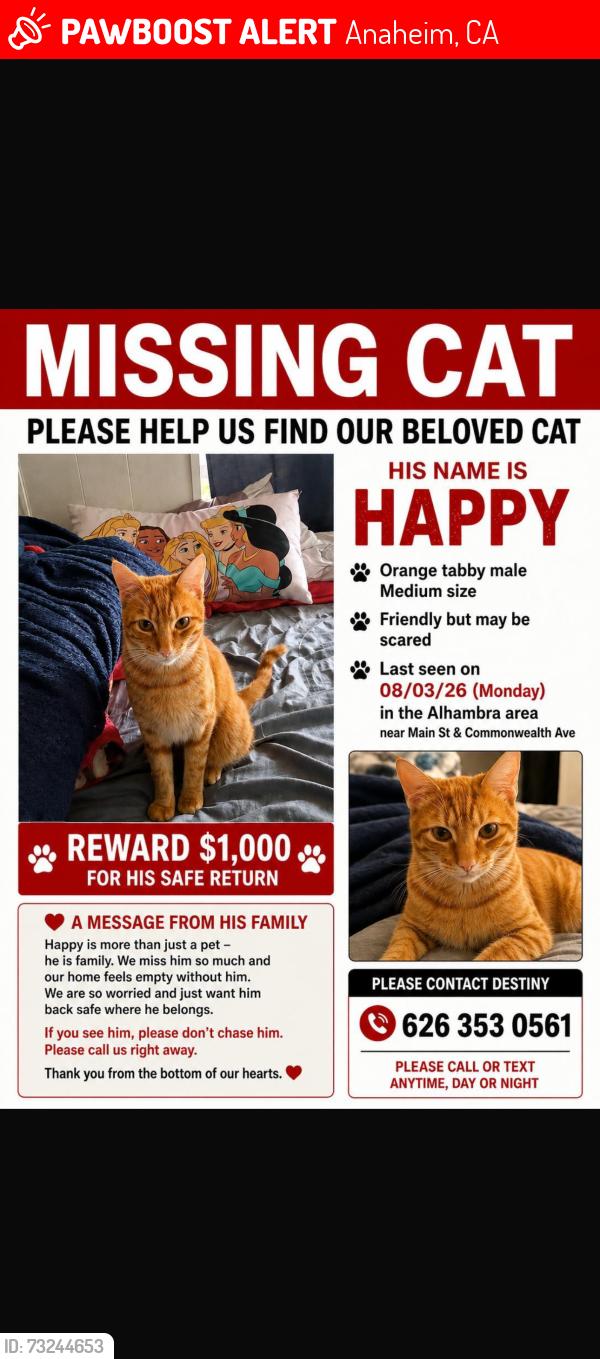 Lost Male Cat last seen Near walnut via Anaheim CA 92801, Anaheim, CA 92801