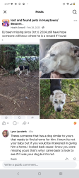 Lost Male Dog last seen Hueytown rd, Hueytown, AL 35023