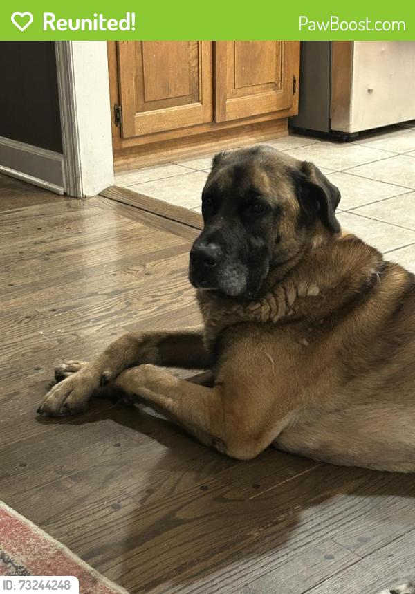 Reunited Male Dog last seen Haverford RD, Lane Rd, Columbus, OH 43220