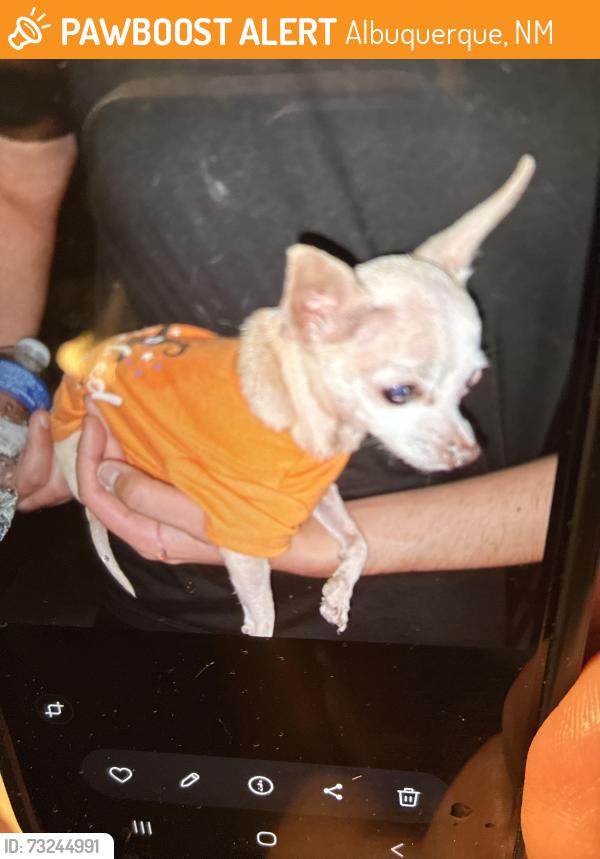 Found/Stray Unknown Dog last seen Near Evansdale nw 87105, Albuquerque, NM 87105