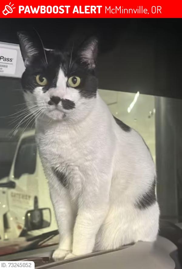 Lost Male Cat last seen Near NE Miller St., McMinnville, OR 97128, McMinnville, OR 97128