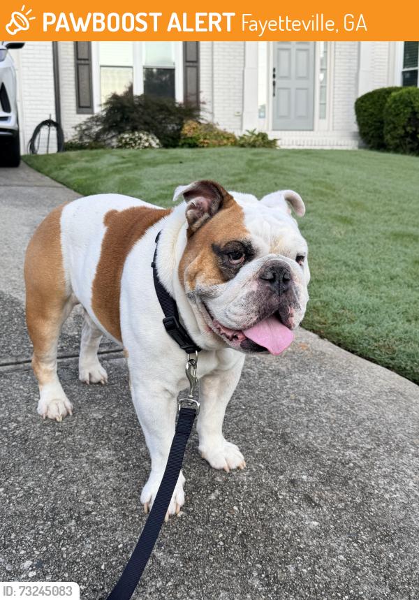 Found/Stray Male Dog last seen Mundy Mill Rd and Fayetteville Rd, Fayetteville, GA 30214