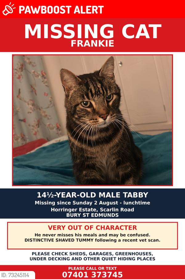 Lost Male Cat last seen Scarlin Rd, Bury St Edmunds, Bury St Edmunds, England 