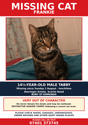 Lost Male Cat last seen Scarlin Rd, Bury St Edmunds, Bury St Edmunds, England 