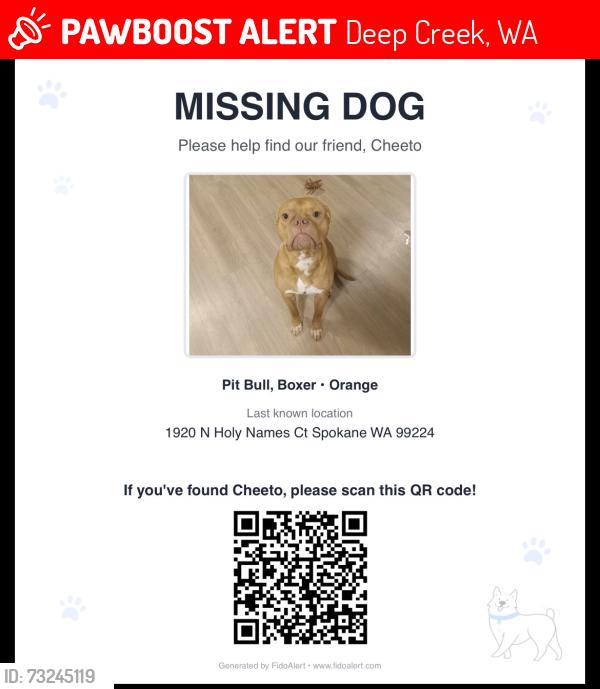 Lost Male Dog last seen Deep creek, Deep Creek, WA 99029
