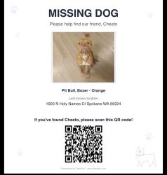 Lost Male Dog last seen Deep creek, Deep Creek, WA 99029
