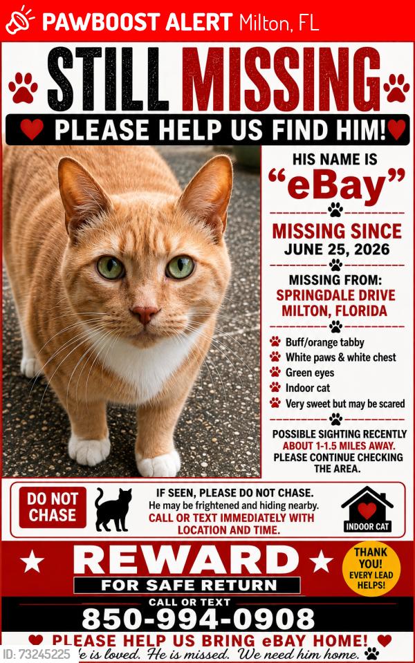 Lost Male Cat last seen Parkway Dr, Hamilton Bridge Rd, Milton, FL 32570