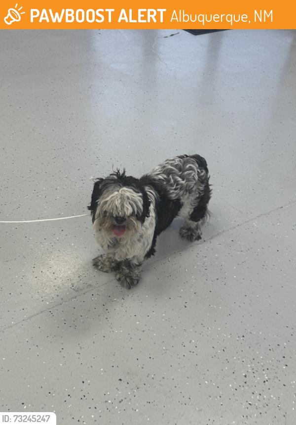 Found/Stray Unknown Dog last seen 4th street, Albuquerque, NM 87107