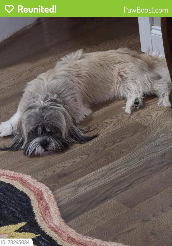 Reunited Male Dog last seen Near Oakland Elementary, Murfreesboro, TN 37130