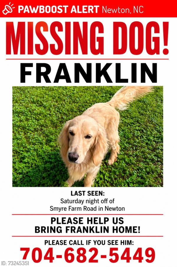Lost Male Dog last seen St James Lutheran Church, Newton, NC 28658