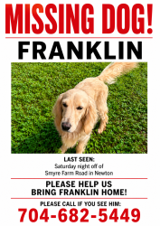Lost Male Dog last seen St James Lutheran Church, Newton, NC 28658