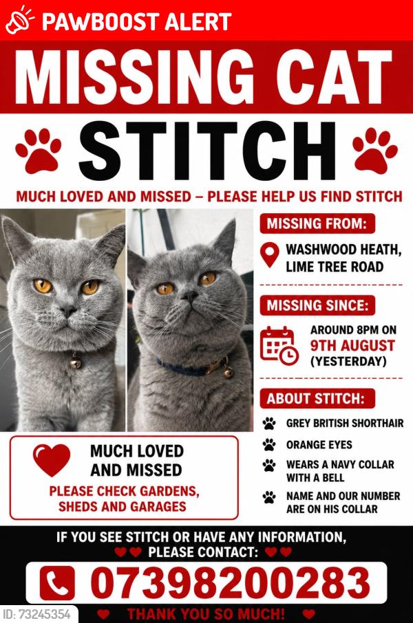Lost Male Cat last seen lime tree road, West Midlands, England 
