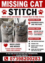Lost Male Cat last seen lime tree road, West Midlands, England 