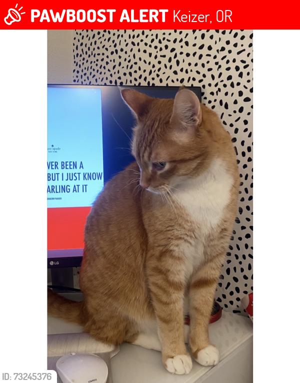 Lost Male Cat last seen Keizer Rapids Park and Chemawa Rd, Keizer, OR 97303