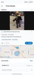 Reunited Male Dog last seen Mitchell, Ceres, CA 95307