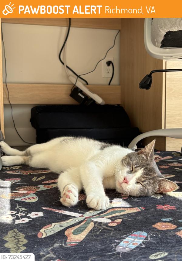 Found/Stray Male Cat last seen Broad Rock Blvd, Richmond, VA 23224