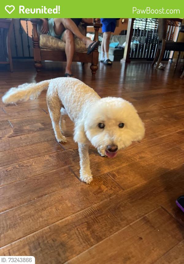 Reunited Male Dog last seen Pasadena & 13th St, Azusa, CA 91702