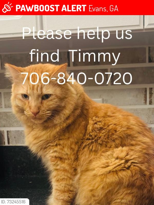Lost Male Cat last seen Near Newland Circle, Evans, GA 30809