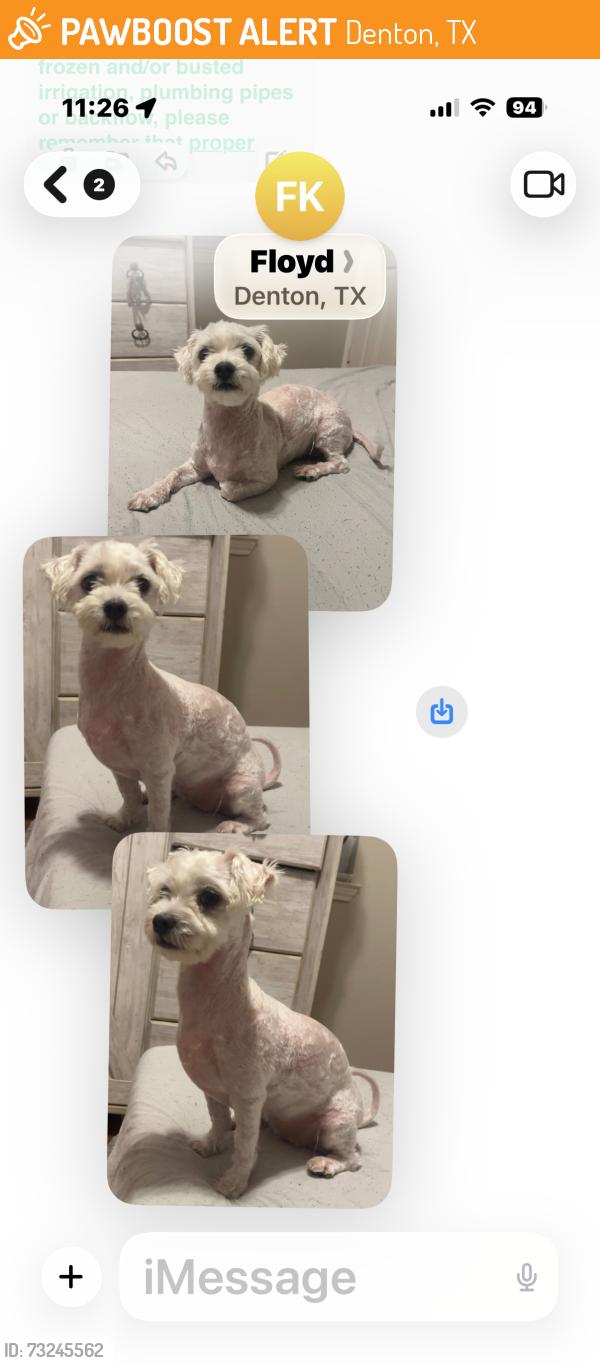 Found/Stray Female Dog last seen Elk Ridge Drive and Totem, Denton, TX 76207
