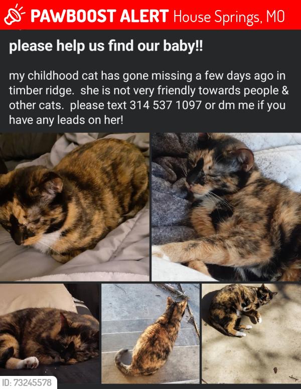 Lost Female Cat last seen Timber Ridge Mobile Homes, House Springs, MO 63051