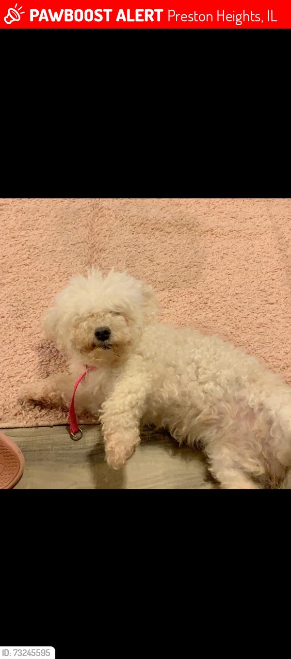 Lost Female Dog last seen Luana, Preston Heights, IL 60433