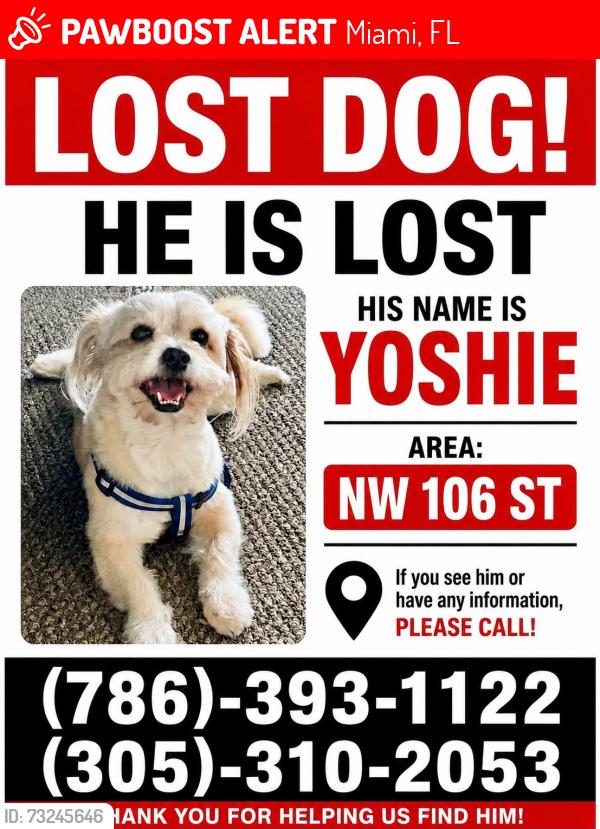 Lost Male Dog last seen Nw 106th St, 33147, Miami, FL 33147