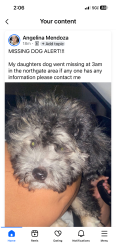 Lost Male Dog last seen Northgate, Manteca, CA 95336