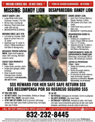 Lost Female Dog last seen White oak bayou, TC jester, Montgomery rd, lemon tree lin, Inwood pines, Houston, TX 77088
