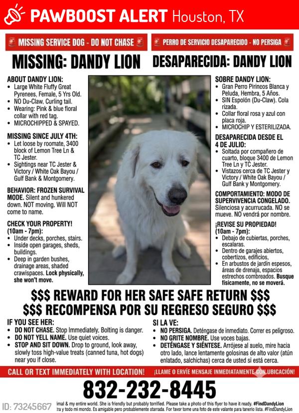 Lost Female Dog last seen White oak bayou, TC jester, Montgomery rd, lemon tree lin, Inwood pines, Houston, TX 77088