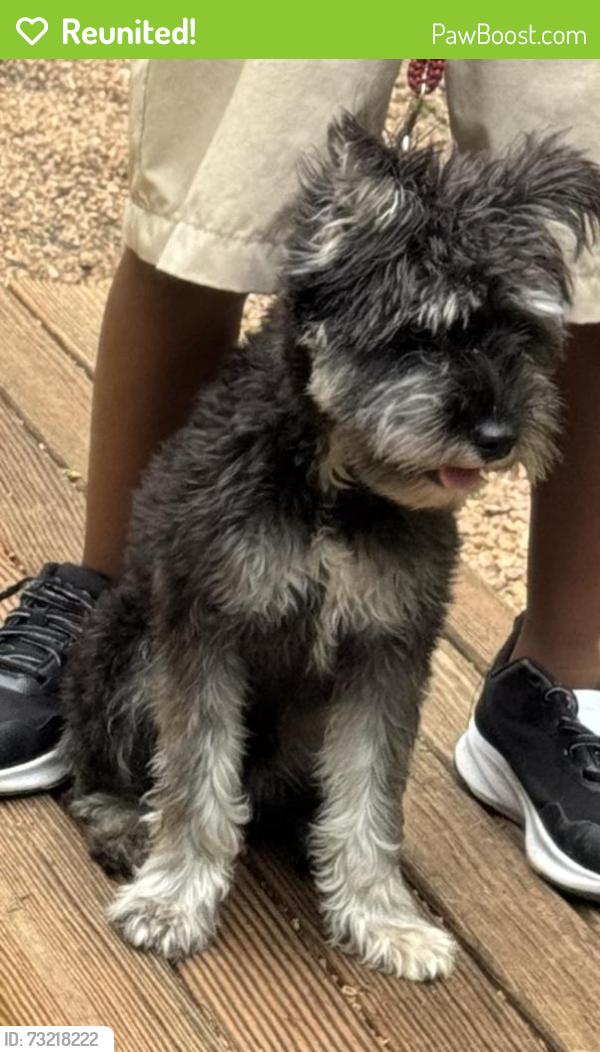 Reunited Male Dog last seen Frisco ranch drive, Frisco, TX 75034