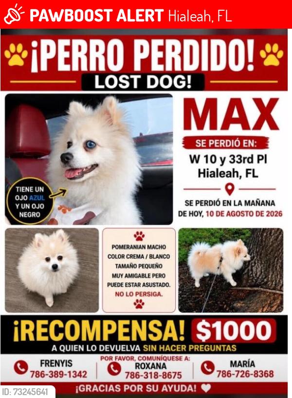 Lost Male Dog last seen Near w 33rd Pl Hialeah Fl, Hialeah, FL 33012