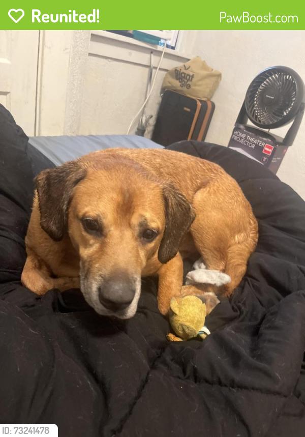 Reunited Male Dog last seen Baldwin rd, Pittsburgh, PA 15207